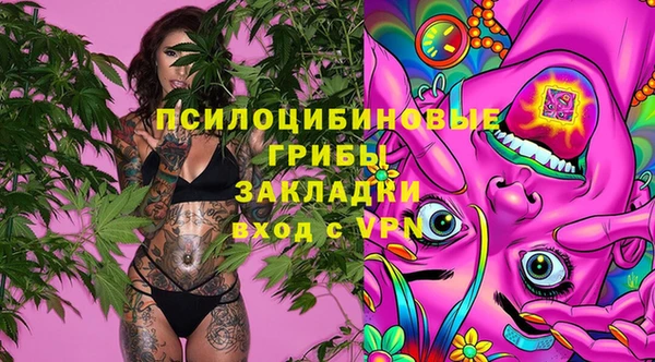 меф Пересвет