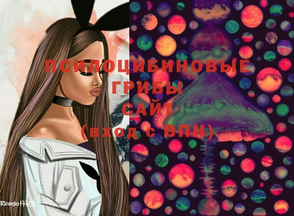 меф Пересвет