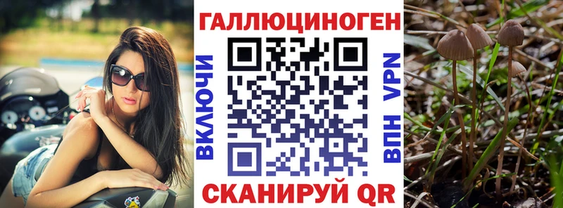 Псилоцибиновые грибы MAGIC MUSHROOMS  наркота  Выборг 