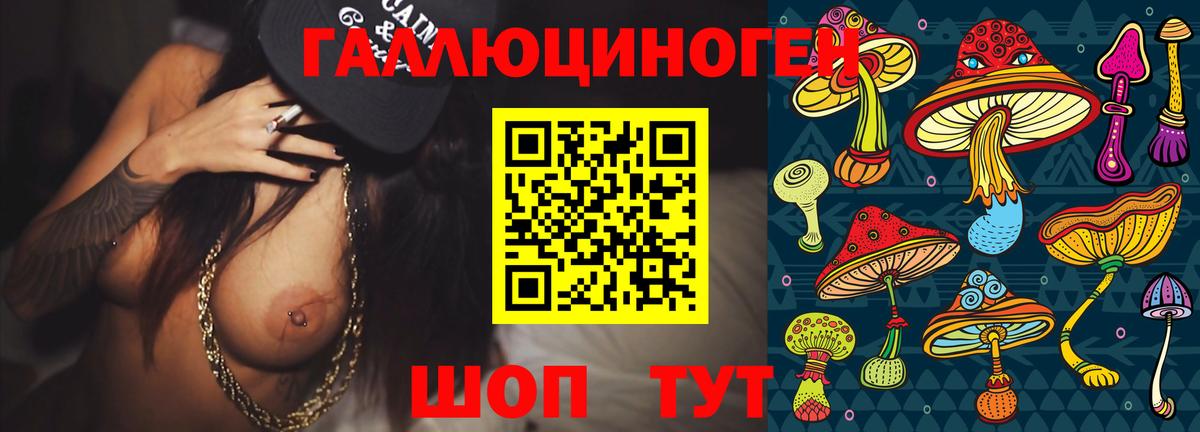 Псилоцибиновые грибы Psilocybe  Псилоцибиновые грибы мухоморы  Выборг  хочу наркоту  Вход с VPN 