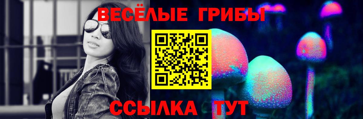 Галлюциногенные грибы Cubensis Выборг