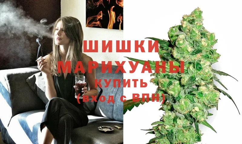 Бошки марихуана Bruce Banner  купить наркоту  Выборг 