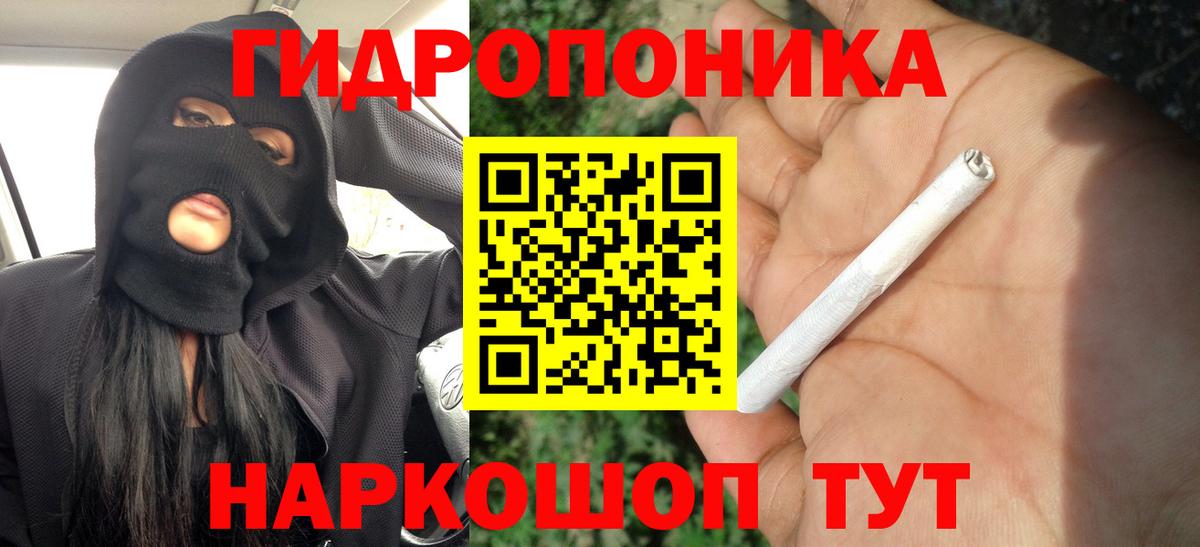 Конопля OG Kush  Вход с VPN  Бошки марихуана Bruce Banner  Конопля планчик  Выборг 